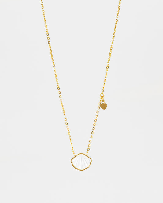 Colar Shell Heart