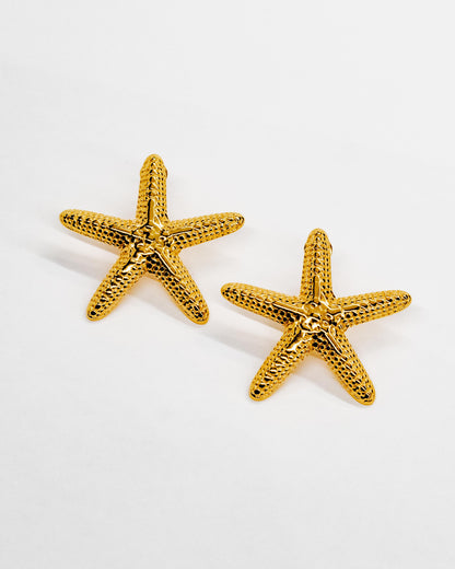 Brincos Starfish