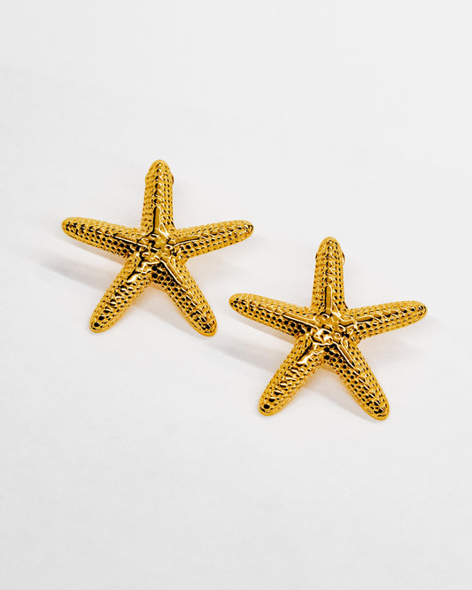 Brincos Starfish