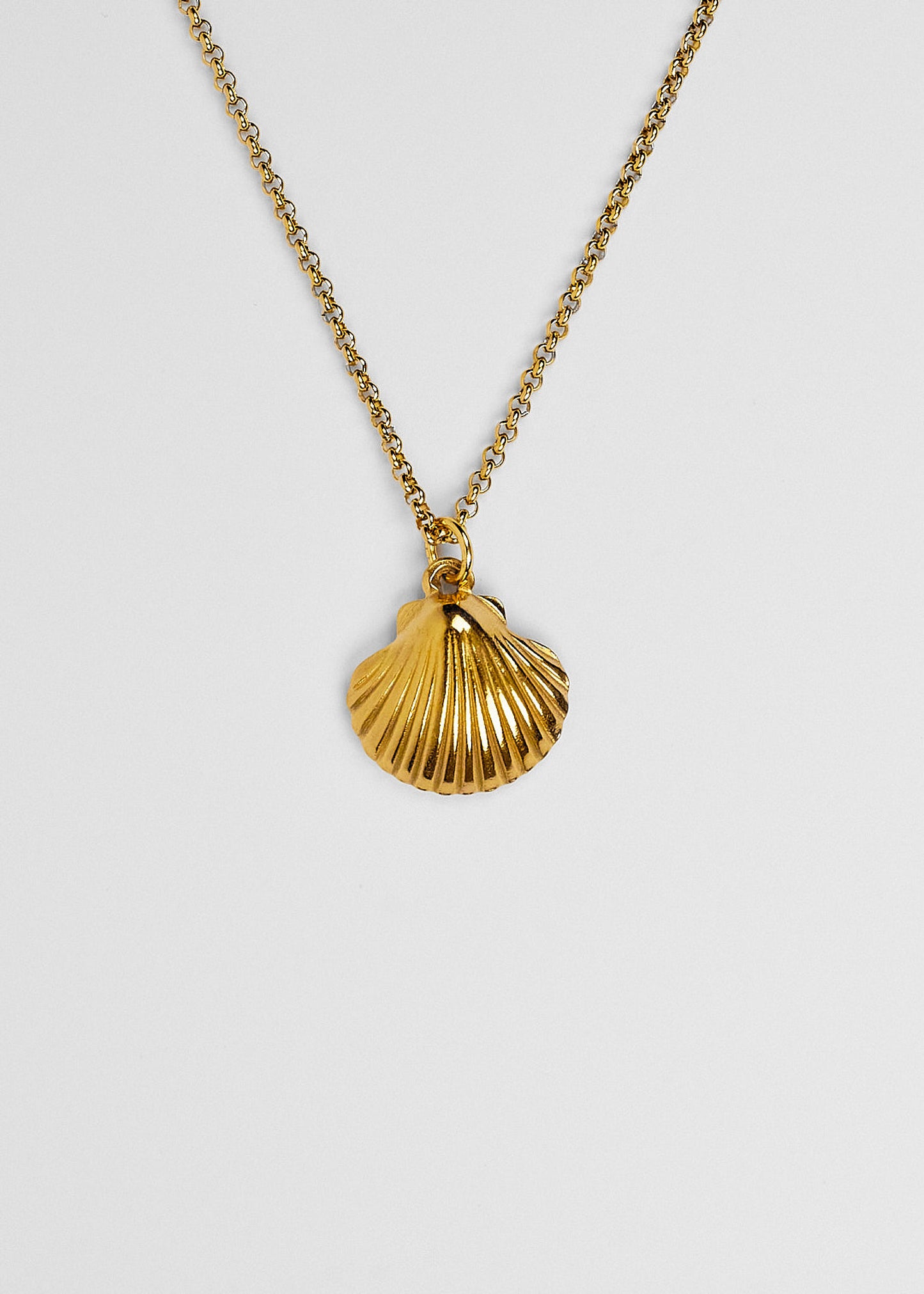 Colar Shell