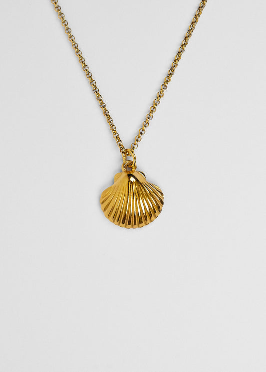 Colar Shell